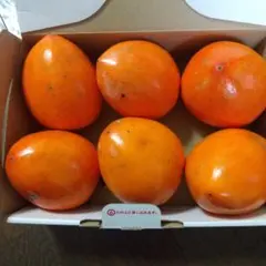 愛宕柿、渋柿、 6個入り