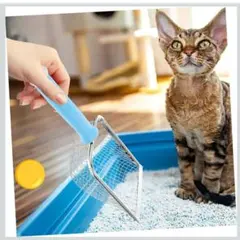 Item thumbnail for item b75a5cce-ca98-4948-b2f0-736cfa56bc2b