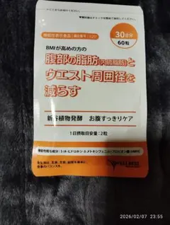 WELLBEST 植物発酵酵素サプリ 30日分