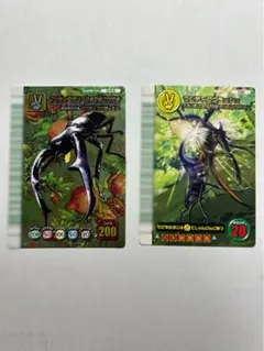 【即日発送】マンディブラリスフタマタクワガタ 5周年 ハードコーティング 即日発送】マンディブラリスフタマタクワガタ 5周年 ハード