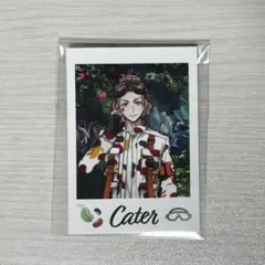 ツイステ展　ランダムカードコレクション　ケイト