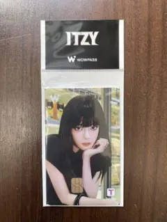 WIAWIS TXT SD SEATPOST CARRMATO 未使用未開封 - メルカリ