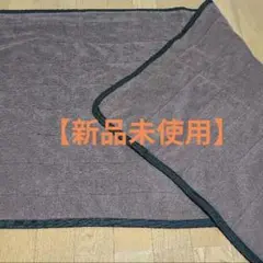 Item thumbnail for item 20e79626-2b9a-4fa5-b8e0-1a1f361abe36