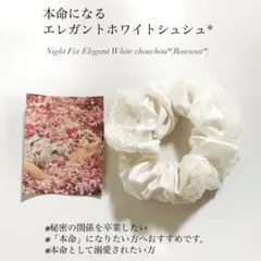 Item thumbnail for item 4b50cfc4-ca33-431b-81f4-480e20559bf3