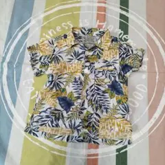 Item thumbnail for item 0b7f12f1-c4bf-4182-b456-b64365367801