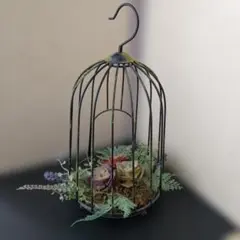 アンティーク 木製鳥籠 大型77cm - メルカリ