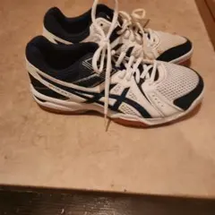 Item thumbnail for item 0d9f1335-405c-4b39-b8cb-606386ef00f8