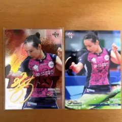 Item thumbnail for item 95a08070-d9d7-4ddb-ba97-26c7dfc1196f