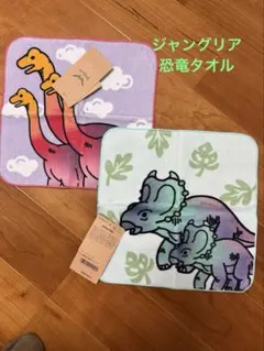 恐竜デザインの子供用ハンカチセット