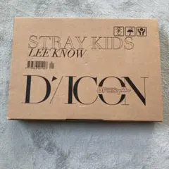 DICON D'FESTA MINI EDITION Stray Kids リノ