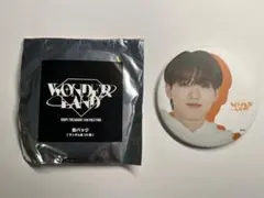 TREASURE ジュンギュ WONDERLAND 缶バッジ