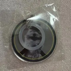 パペットスンスン めじるしチャーム ゾンゾン ガチャガチャ めじるしアクセサリー