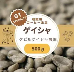 コーヒー生豆 ゲイシャ エチオピア ケビルゲイシャ農園 500g 自家焙煎用のサムネイル
