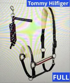 Item thumbnail for item 521706d5-32a7-4913-a26b-c52a859dcfec