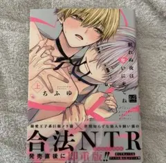 眠れぬ夜は奪いにきてね 上