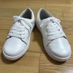 Item thumbnail for item d3c7b2b8-2fe9-418f-bde7-e7ab3e6bead3