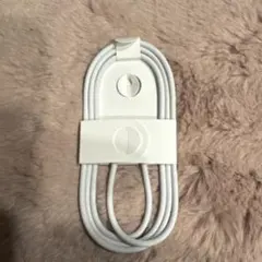 iPhone16 Apple純正 充電ケーブル 編み込み式 タイプC to C