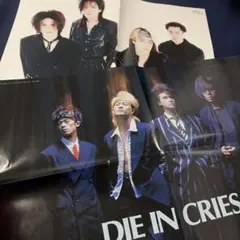 Die In Cries ポスター 2枚セットのサムネイル