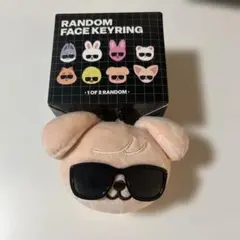 Stray Kids RANDOM FACE KEYRING ポガリ - メルカリ