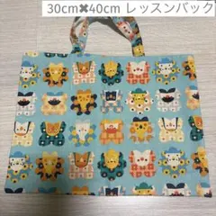 小鳥柄　レッスンバック