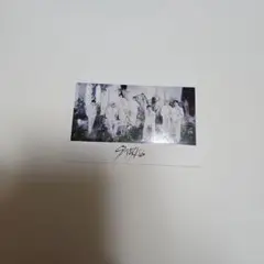 StrayKids スキズ MANIACアンコン フォトカードA トレカ オール
