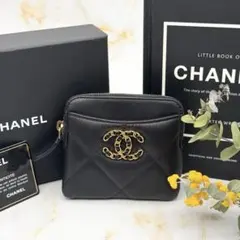 美品　CHANEL シャネル　19 ディズヌフ　フラグメントケース
