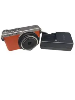 Panasonic LUMIX DMC-GM1S ブラウン - メルカリ