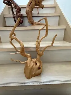 2026年最新】木の根 置物の人気アイテム - メルカリ