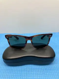 wayfarer