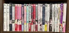 ボーイズラブ漫画25冊まとめ売り