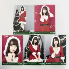 阪口珠美 サンタ 2019 クリスマス コンプ 乃木坂46 生写真