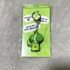 八木勇征　ヤギッコリー　メンプロ