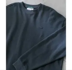 LACOSTE ブラック 長袖 Tシャツ BEAUTY&YOUTH 別注 - メルカリ