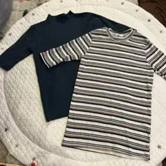 レディース服　トップス　ニット　リブニット　半袖ニット