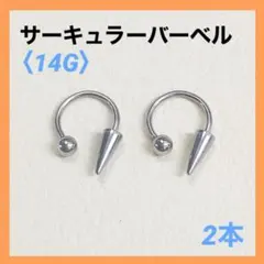 Item thumbnail for item 77766e9c-e4c2-4677-aa1e-ba5b7934a293