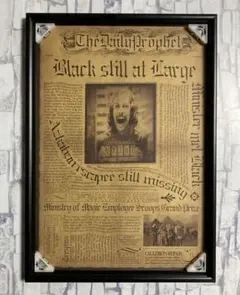 2026年最新】シリウスブラック ポスターの人気アイテム - メルカリ