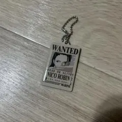 ニコ・ロビン キャラクターグッズ