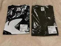 龍が如く 桐生一馬 冴島大河 Tシャツ Mサイズ レジェンドの極くじ2個セット