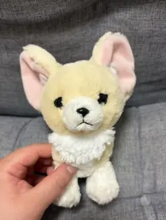 サンレモン　フェネック　ぬいぐるみのサムネイル