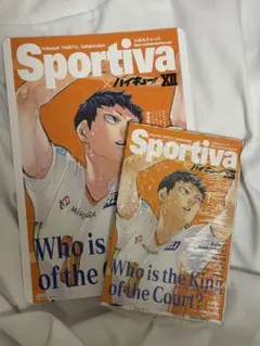 Sportiva × ハイキュー!! XII影山飛雄 アニメイト特典付き