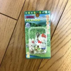 ハローキティ 信州限定 野沢菜バージョン ファスナーマスコット - メルカリ