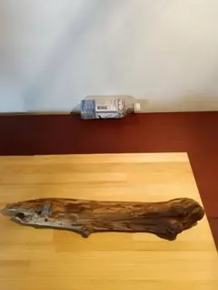 Item thumbnail for item 42701391-cc67-4d0a-998f-173607fd8d56