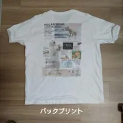 go slow caravan ホッキョクグマ Tシャツ ホワイト