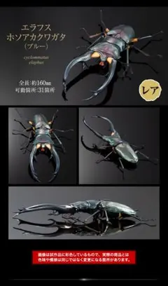 いきもの大図鑑 クワガタ02 エラフスホソアカクワガタ ブルー レア