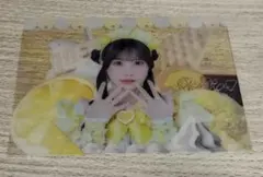 2026年最新】福丸うさの人気アイテム - メルカリ