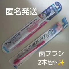 【匿名発送】シュミテクト 3次元フィット デントファイン 歯ブラシ ふつう 2本のサムネイル