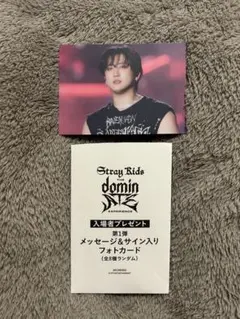 Stray Kids dominATE スキズ 映画 入場特典 バンチャントレカ