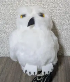 Item thumbnail for item 144a4685-ee64-4b8c-8492-6669056a1872