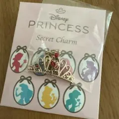 ディズニーストア　シークレット　チャーム　プリンセス　ティアラ