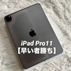 1台限定価格】iPad Pro 11インチ 第2世代 128GB 【すぐ発送】 - メルカリ